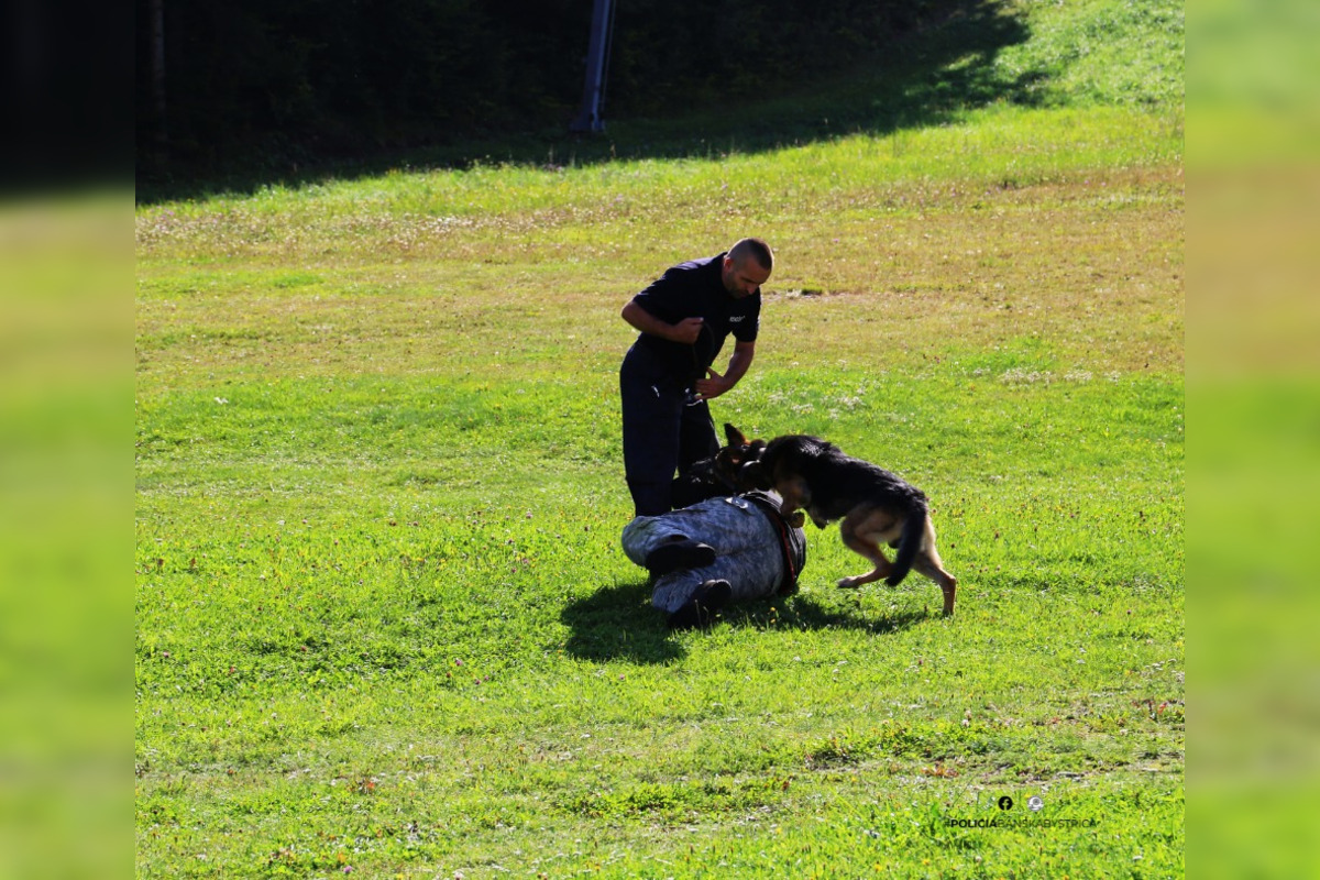 FOTO: Pri Banskej Bystrici sa konalo spoločné cvičenie slovenskej a maďarskej polície, foto 14