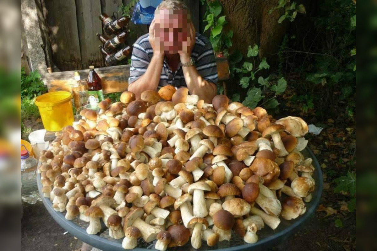 FOTO: Pri Zvolene je dubákový raj, ľudia sa na internete chvália úlovkami, foto 2