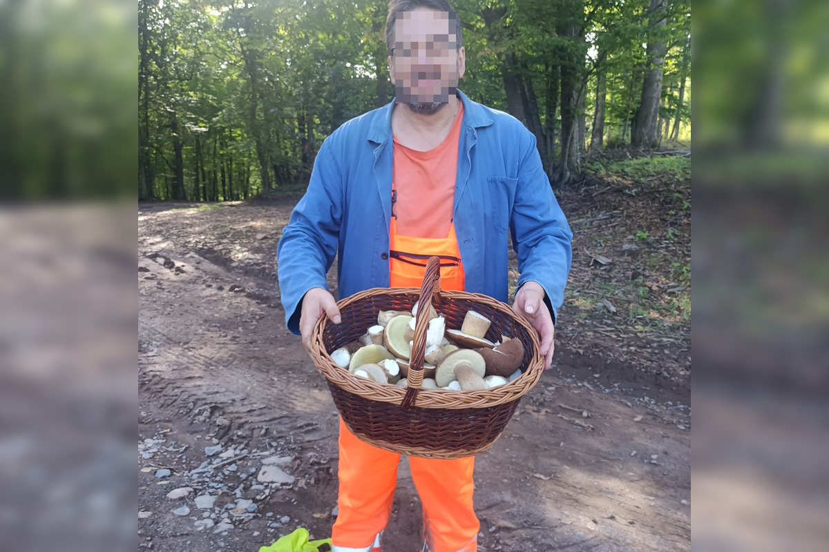 FOTO: Pri Zvolene je dubákový raj, ľudia sa na internete chvália úlovkami, foto 4