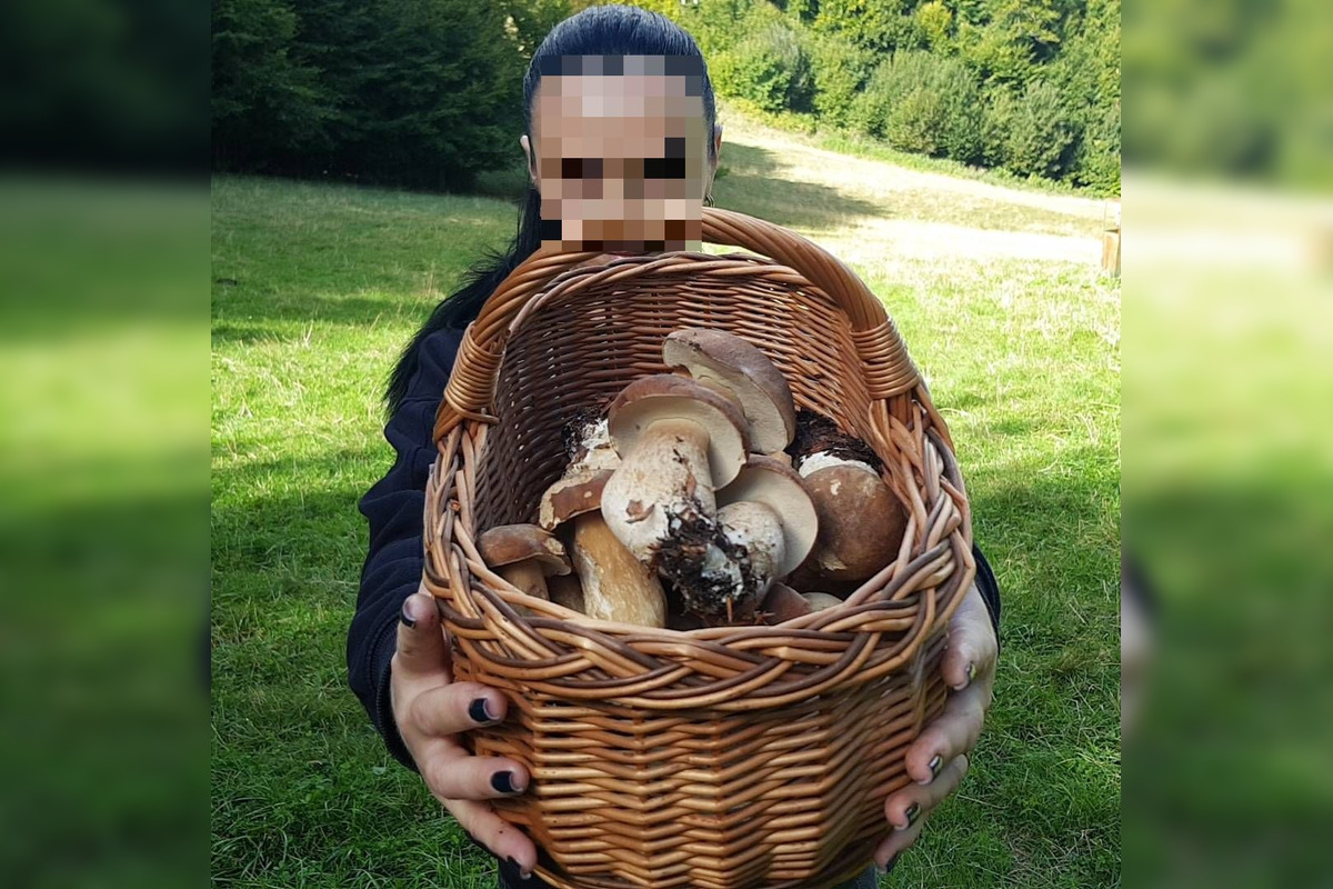 FOTO: S dubákmi sa roztrhlo vrece už aj na Horehroní, foto 1