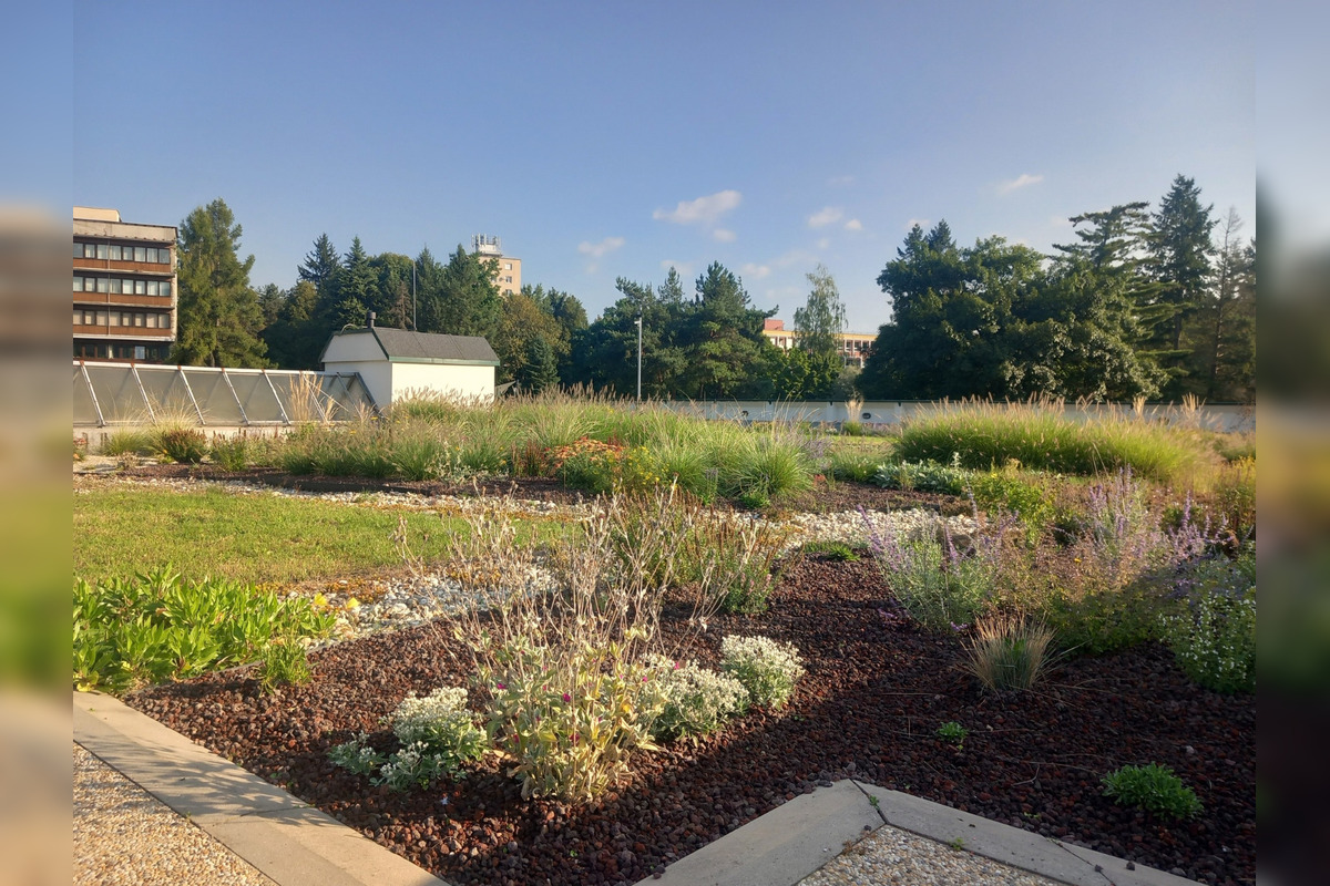 FOTO: Zvolenčania sa opäť môžu poprechádzať po zelenej streche na stanici, foto 3