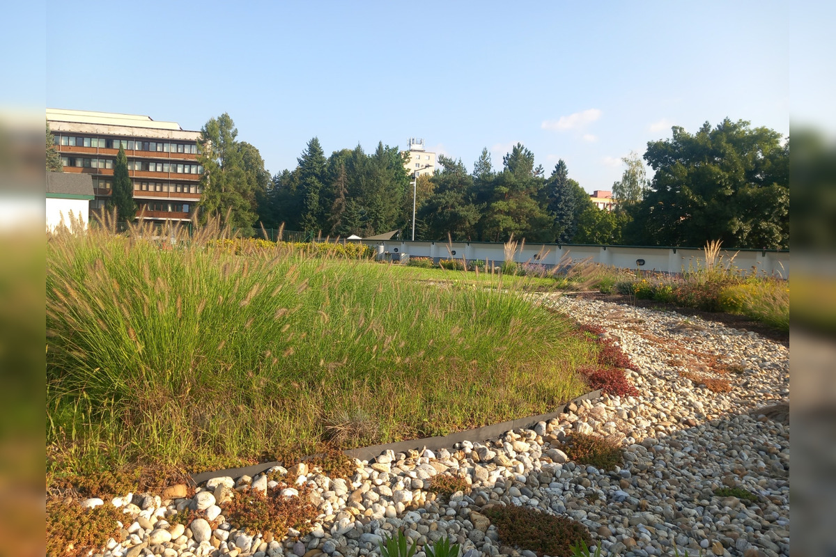 FOTO: Zvolenčania sa opäť môžu poprechádzať po zelenej streche na stanici, foto 5