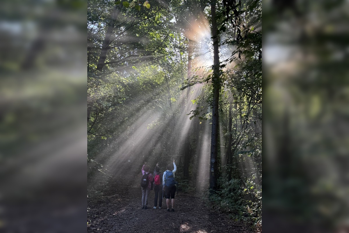 FOTO: Úspech Dňa hviezd na Vatrovke v Banskej Bystrici, foto 12