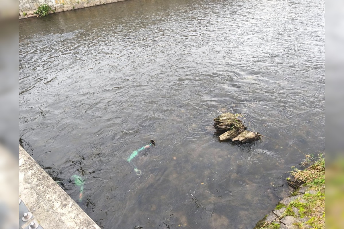 FOTO: Bolt kolobežky skončili v Hrone, foto 3