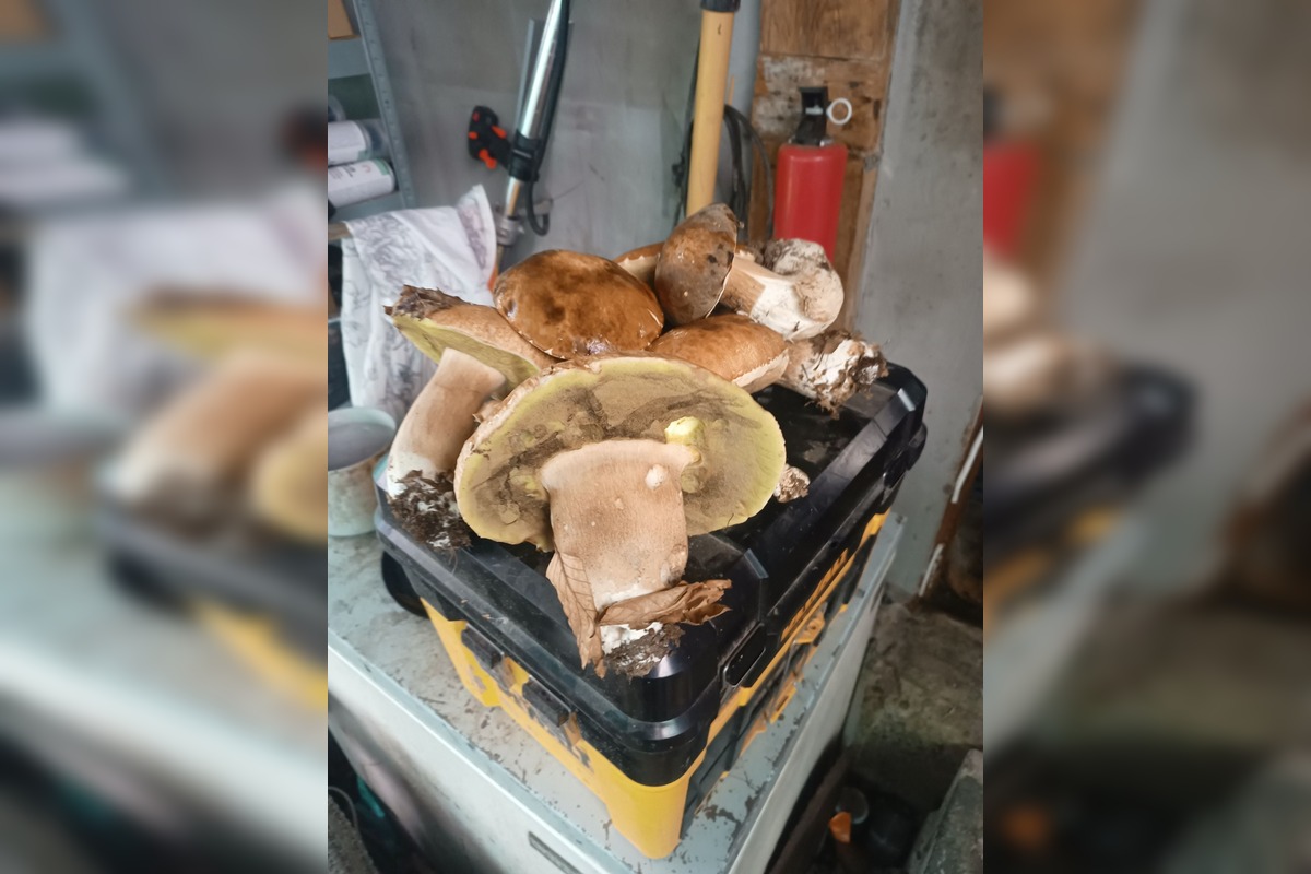 FOTO: Ľudia sa pochválili svojimi úlovkami, foto 1