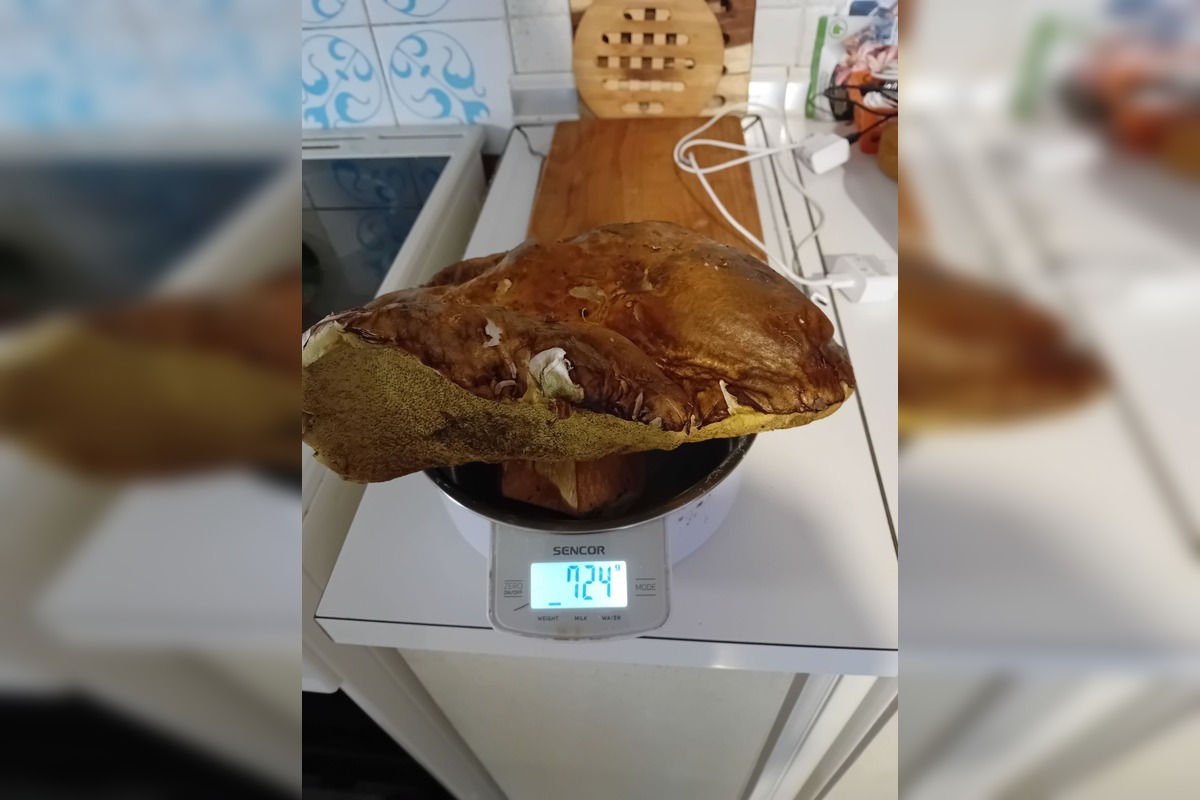 FOTO: Ľudia sa pochválili svojimi úlovkami, foto 2