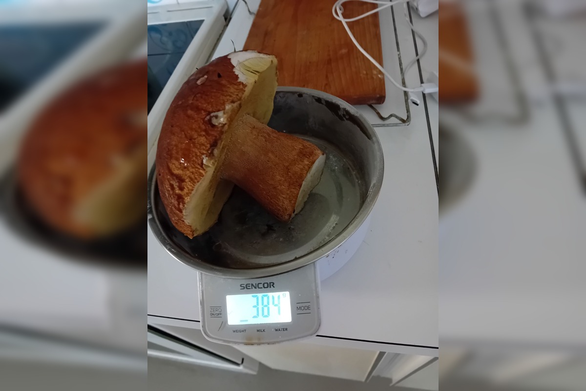 FOTO: Ľudia sa pochválili svojimi úlovkami, foto 4