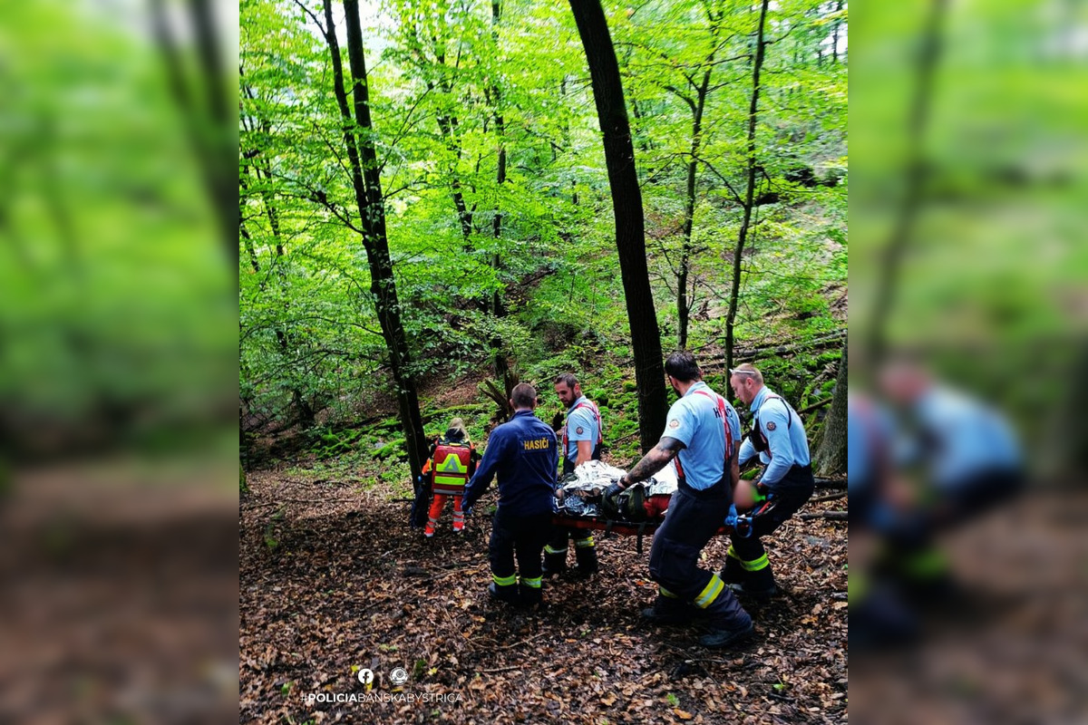 FOTO: Policajti hľadali v lesoch pri Zvolene 71-ročného muža, foto 1