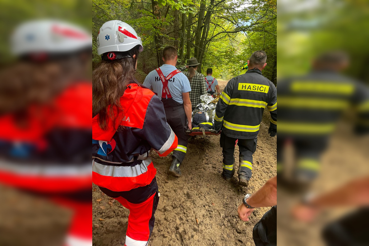 FOTO: Muža v Brusne pri rezaní stromu zasiahol padajúci konár a zlomil mu nohu, foto 1