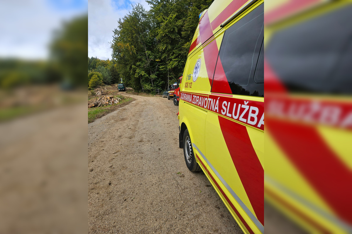 FOTO: Muža v Brusne pri rezaní stromu zasiahol padajúci konár a zlomil mu nohu, foto 2