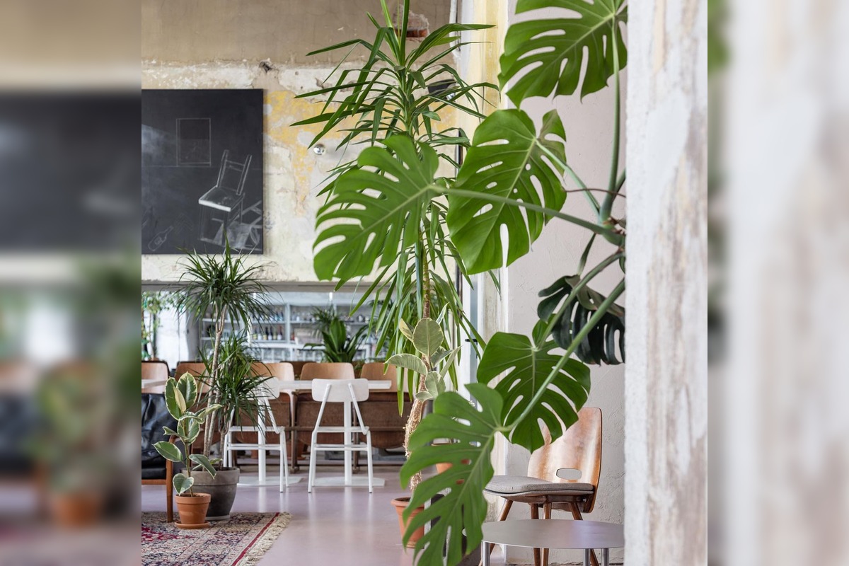 FOTO: Obľúbená kaviareň výklad, foto 5