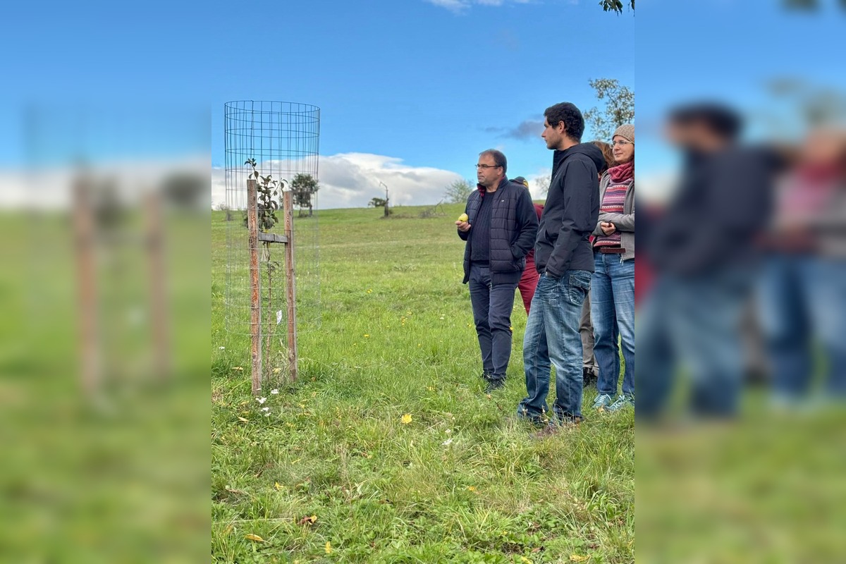 FOTO: Mestský sad na Papuľke sa rozrastá, foto 4