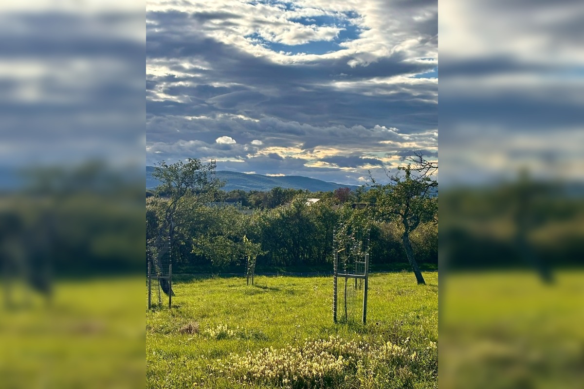 FOTO: Mestský sad na Papuľke sa rozrastá, foto 8