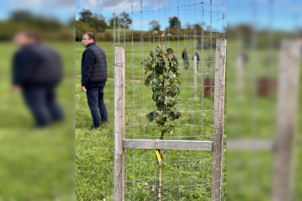 FOTO: Mestský sad na Papuľke sa rozrastá, foto 10