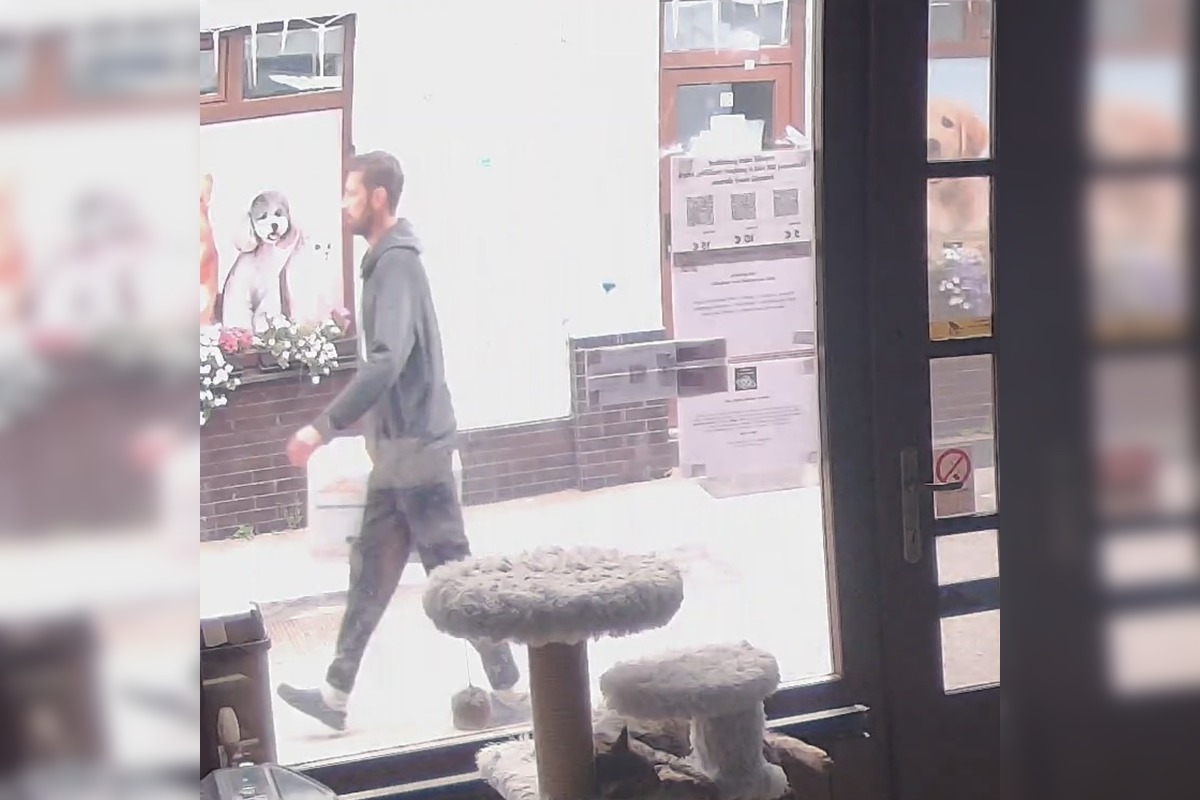 FOTO: Krabica pred kaviarňou ukrývala prekvapenie, foto 2