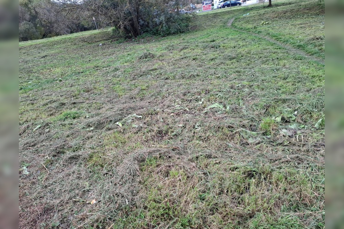 FOTO: Zvolen rieši problém s kosením, foto 2