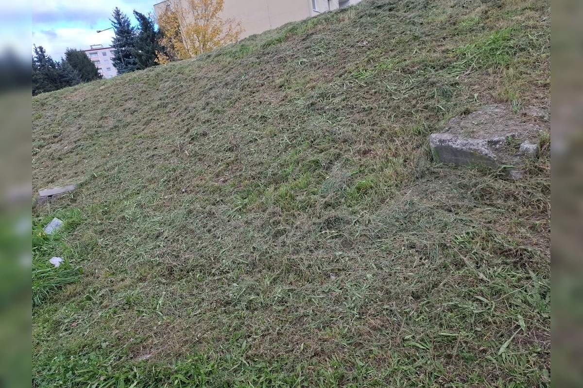FOTO: Zvolen rieši problém s kosením, foto 4