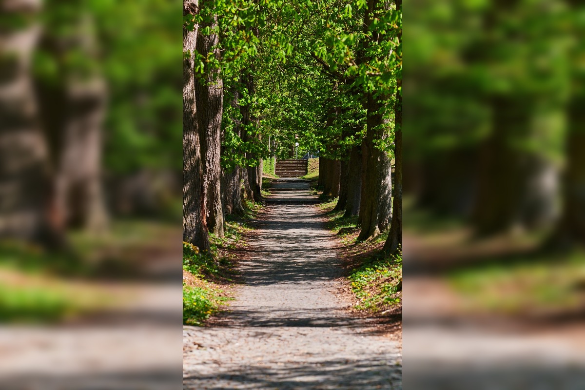 FOTO: Kúpele Sliač sa prebúdzajú k životu, foto 5