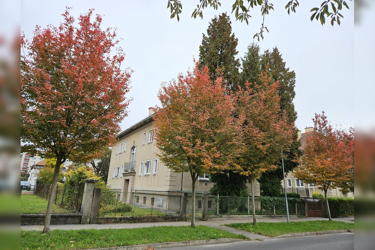 FOTO: Muchovníky na Jilemnického ulici ohúrili farbami, foto 1