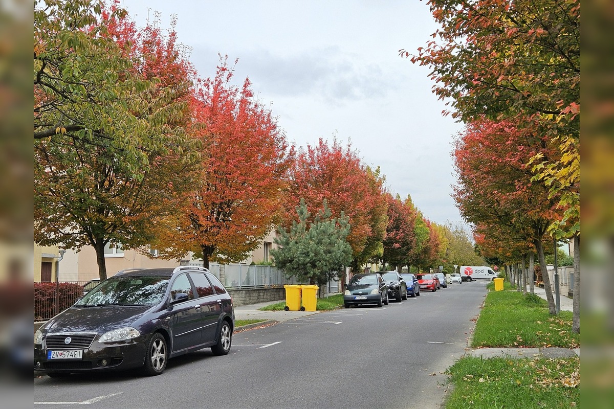 FOTO: Muchovníky na Jilemnického ulici ohúrili farbami, foto 2