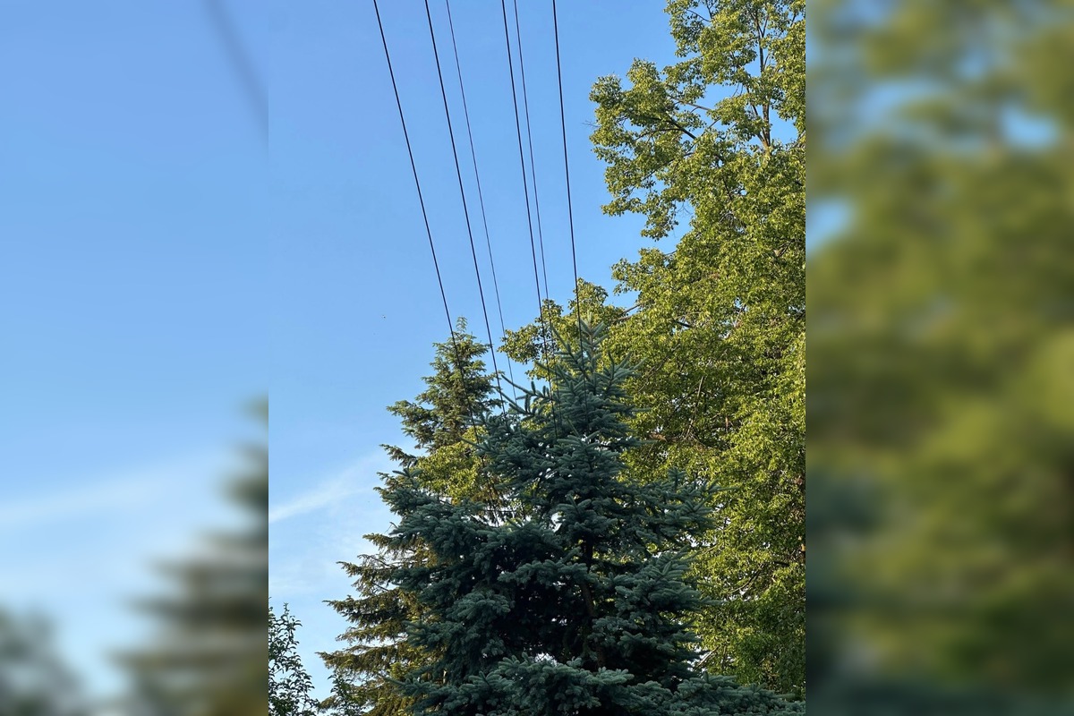 FOTO: Podnety Zvolenčanov na zlepšenie, foto 2