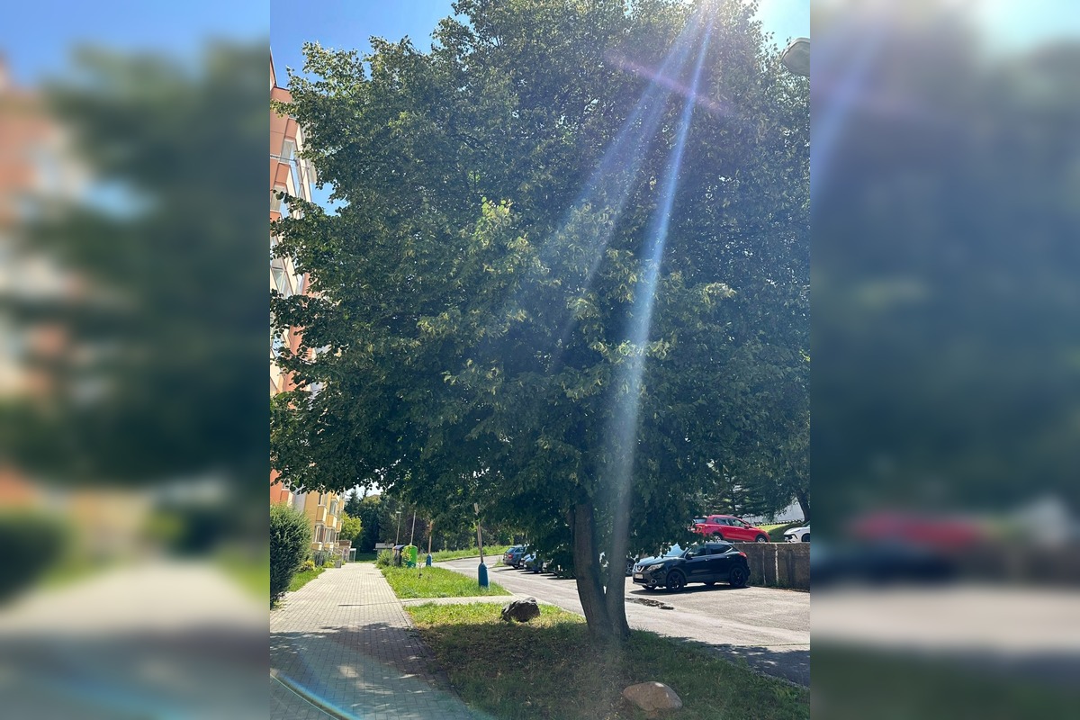 FOTO: Podnety Zvolenčanov na zlepšenie, foto 3