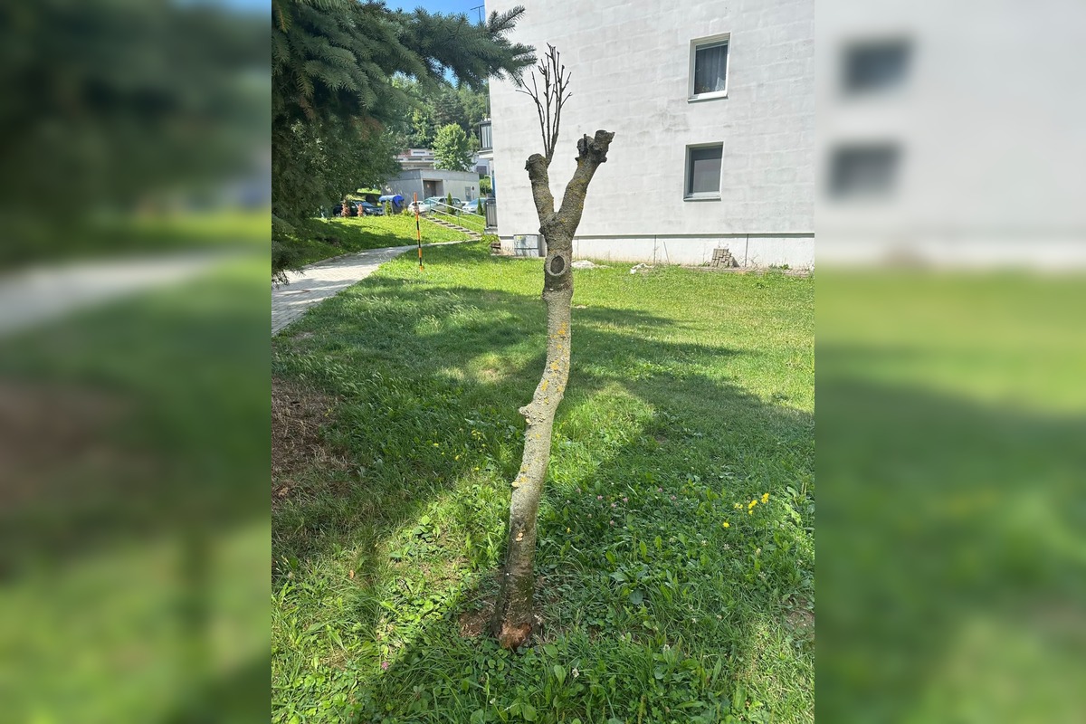 FOTO: Podnety Zvolenčanov na zlepšenie, foto 6