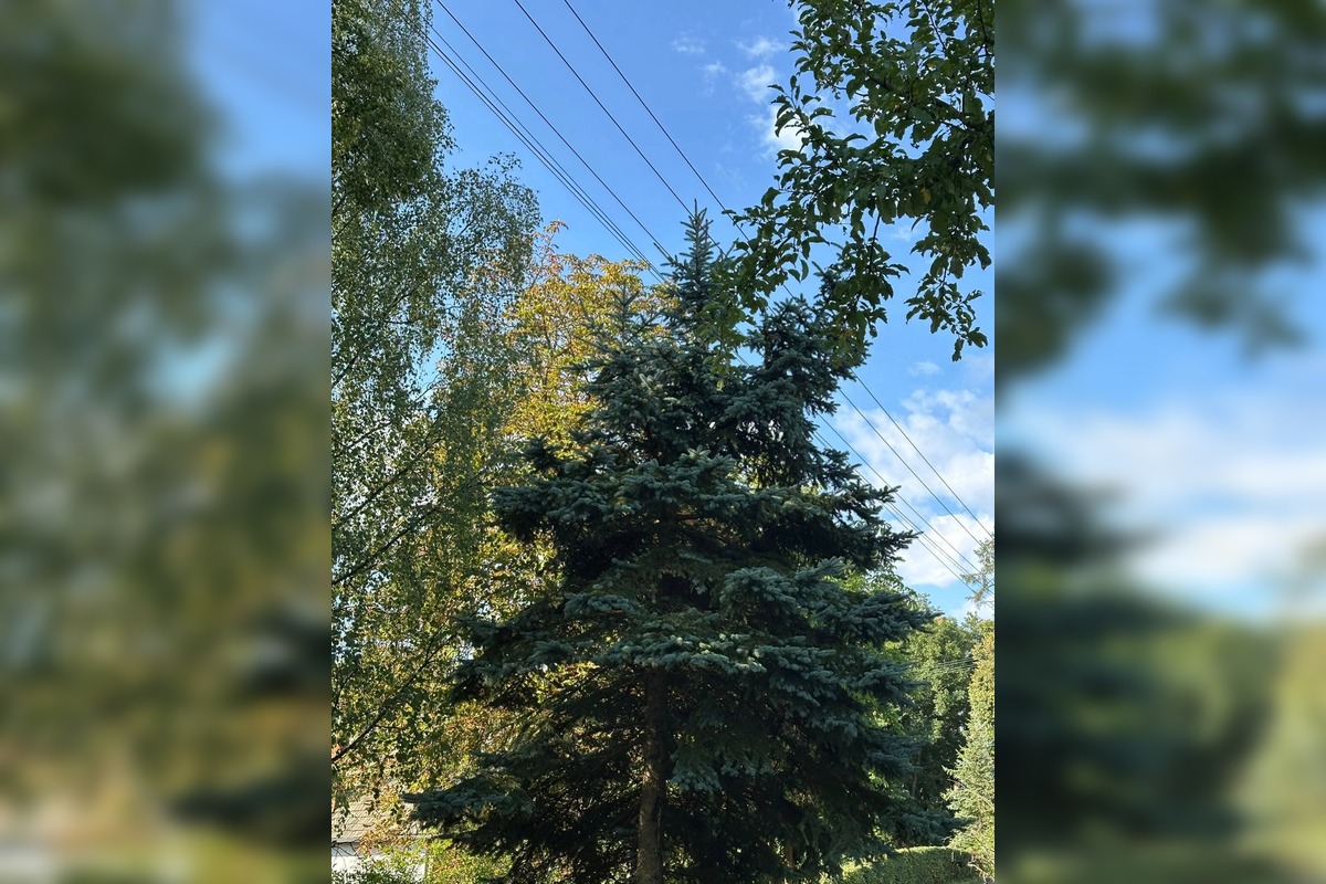 FOTO: Podnety Zvolenčanov na zlepšenie, foto 9