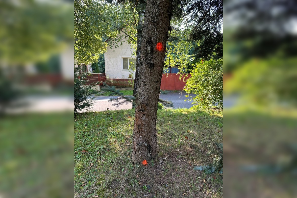 FOTO: Podnety Zvolenčanov na zlepšenie, foto 11