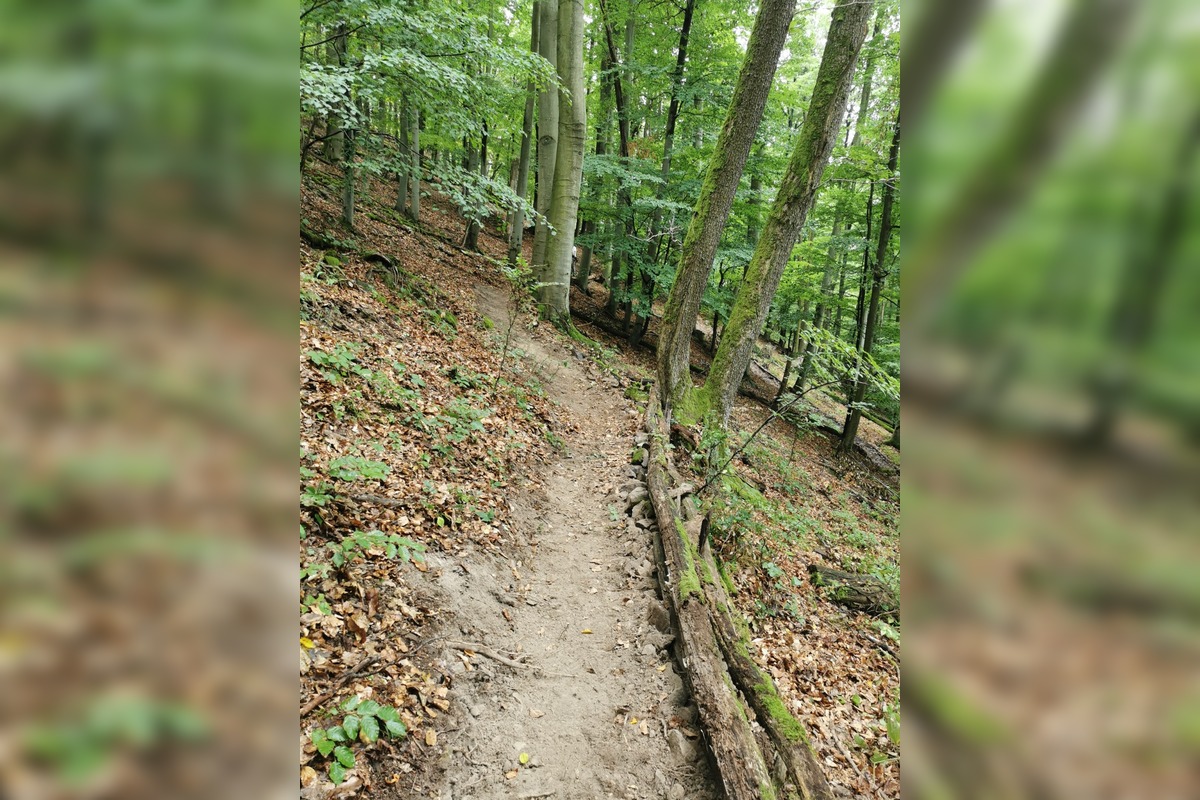 FOTO: Banícka minulosť Brehov ožíva, foto 8