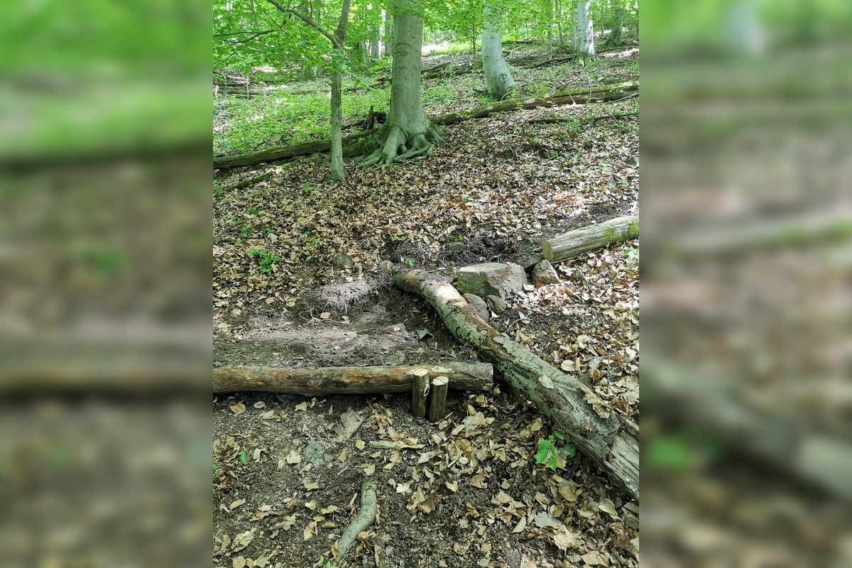 FOTO: Banícka minulosť Brehov ožíva, foto 9