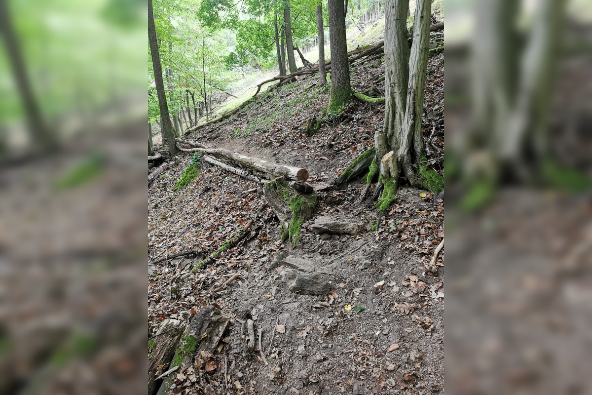 FOTO: Banícka minulosť Brehov ožíva, foto 10