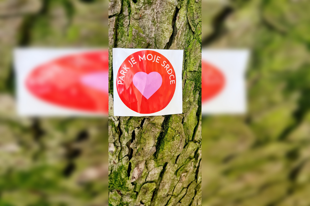 FOTO: Nespokojní Bystričania spravili v Mestskom parku živú reťaz, foto 5