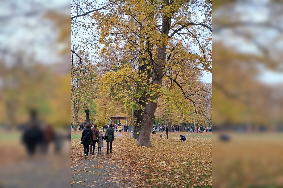 FOTO: Nespokojní Bystričania spravili v Mestskom parku živú reťaz, foto 6