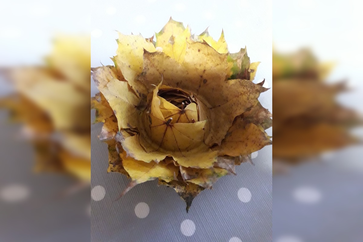 FOTO: Úkazy z lístia bavia celé Slovensko, ľudia sa predbiehajú v nápadoch, foto 3