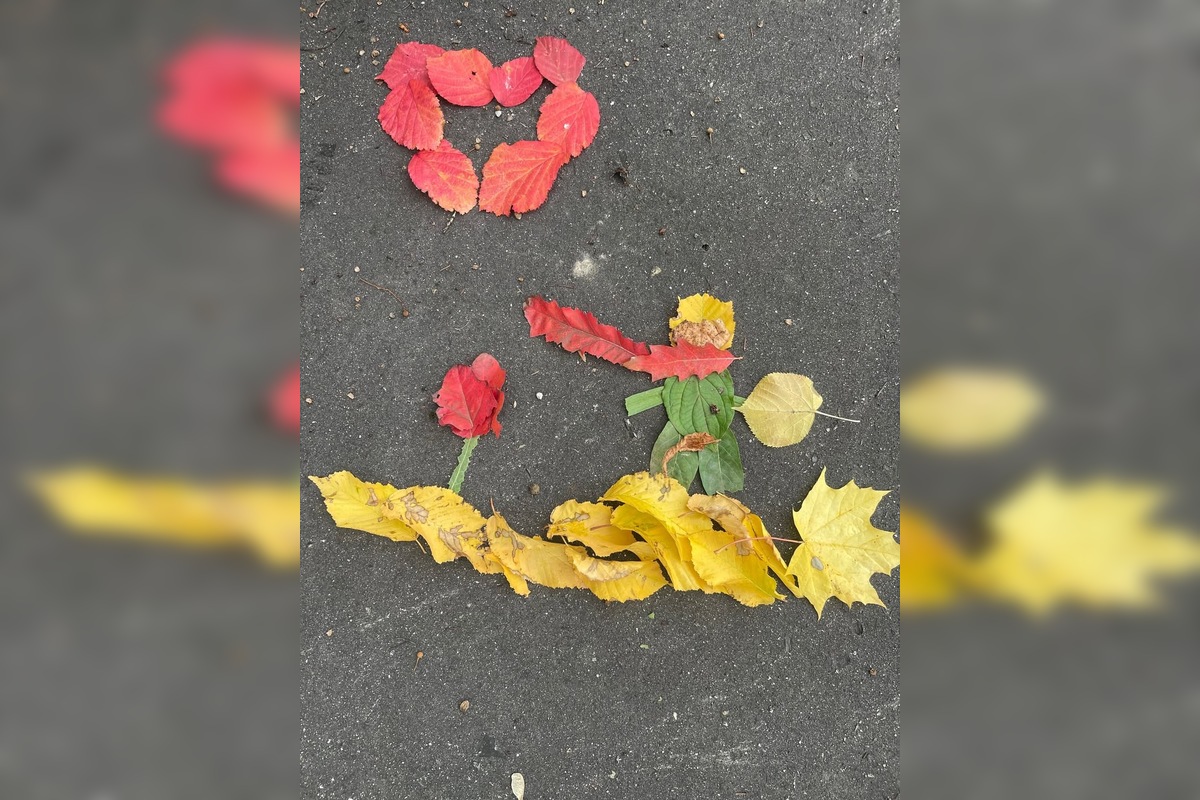 FOTO: Úkazy z lístia bavia celé Slovensko, ľudia sa predbiehajú v nápadoch, foto 7