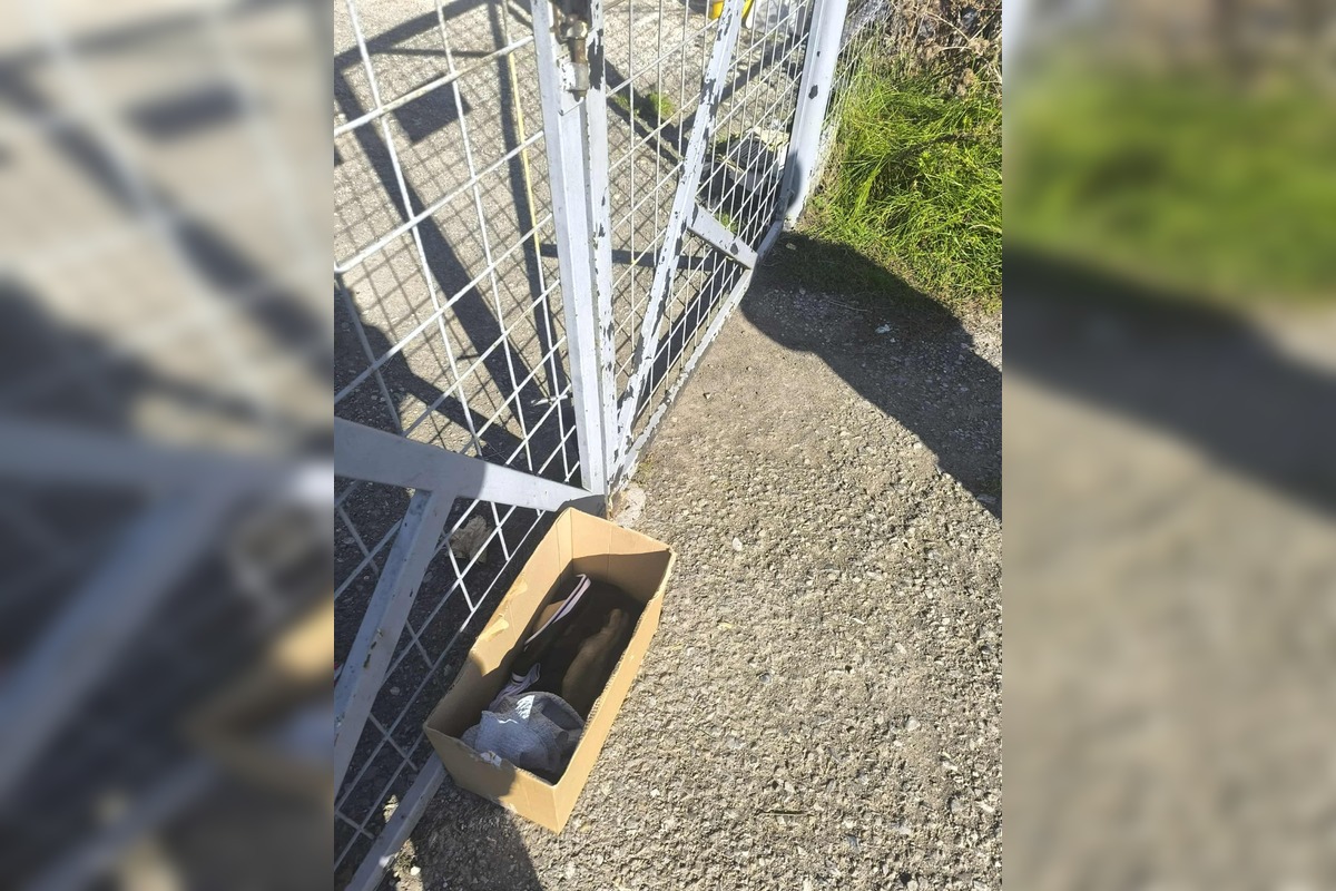 FOTO: Opustené šteniatka pred žiarskym útulkom, foto 5