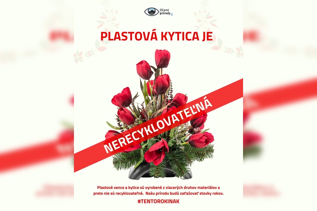 FOTO: Skleníky na Rákoši zaplavili farby jesene, foto 1