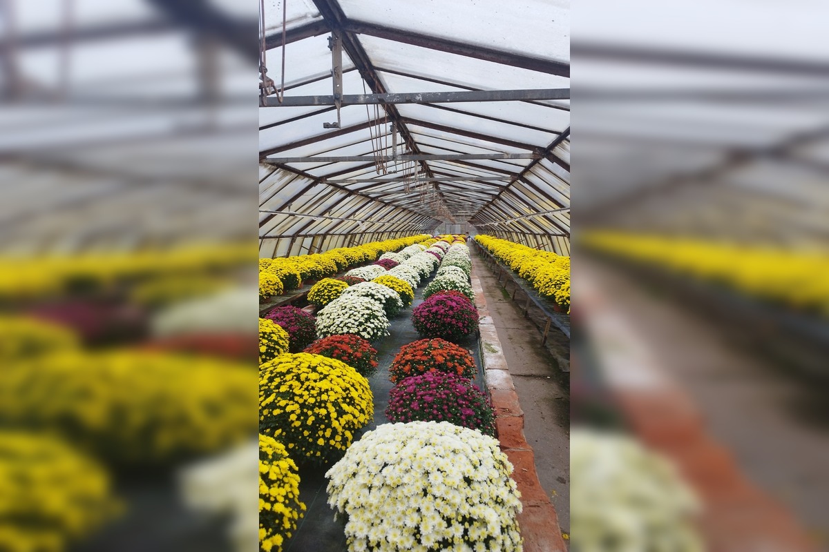 FOTO: Skleníky na Rákoši zaplavili farby jesene, foto 7