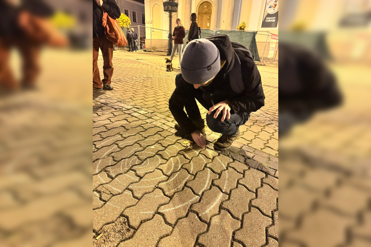 FOTO: V Bystrici sa konal netradičný protest proti výrubu v mestskom parku, foto 3