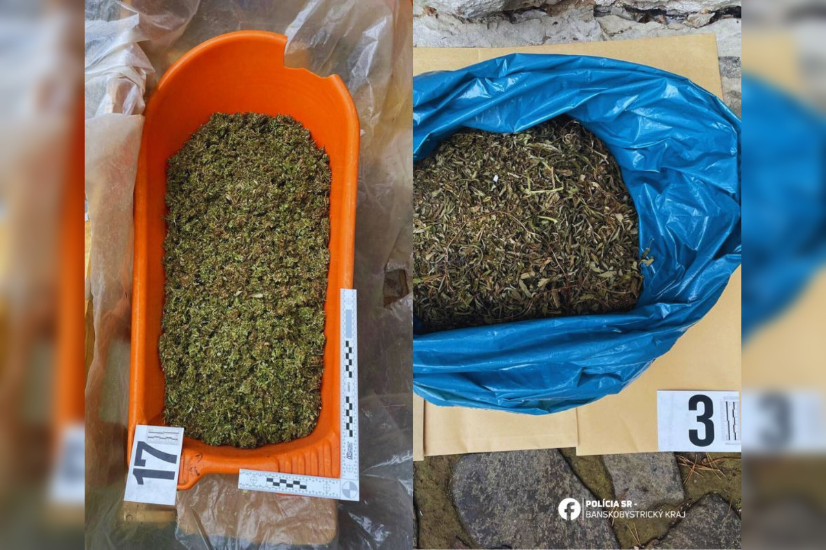 FOTO: Dvaja Bystričania majú problém, polícia u nich našla množstvo zelenej sušiny, foto 1