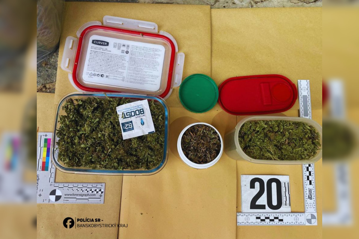 FOTO: Dvaja Bystričania majú problém, polícia u nich našla množstvo zelenej sušiny, foto 2