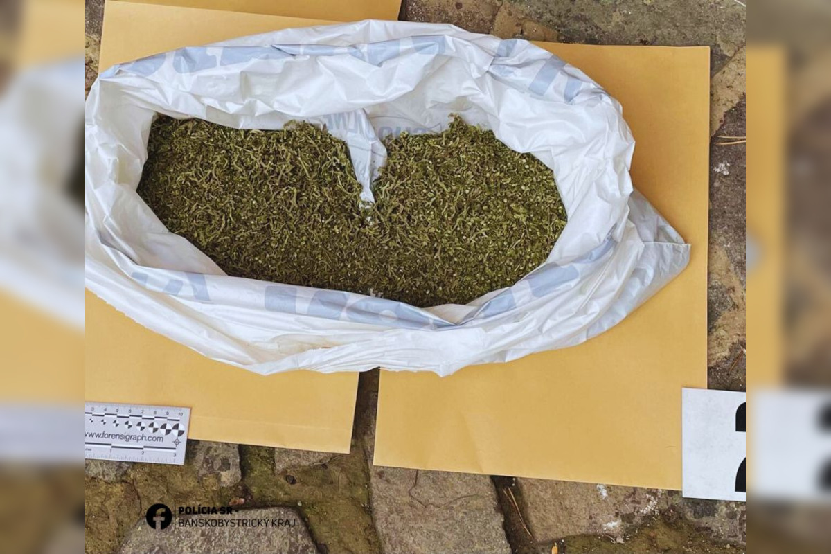 FOTO: Dvaja Bystričania majú problém, polícia u nich našla množstvo zelenej sušiny, foto 3