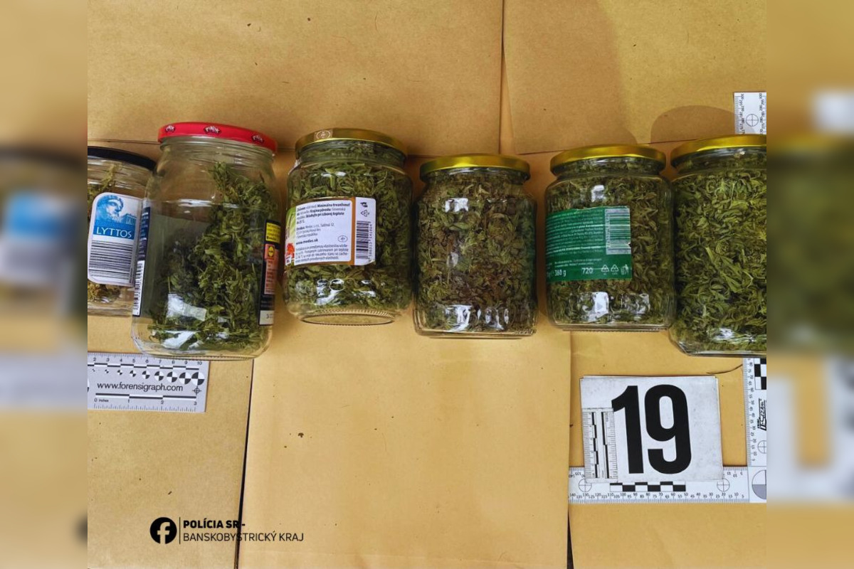 FOTO: Dvaja Bystričania majú problém, polícia u nich našla množstvo zelenej sušiny, foto 4