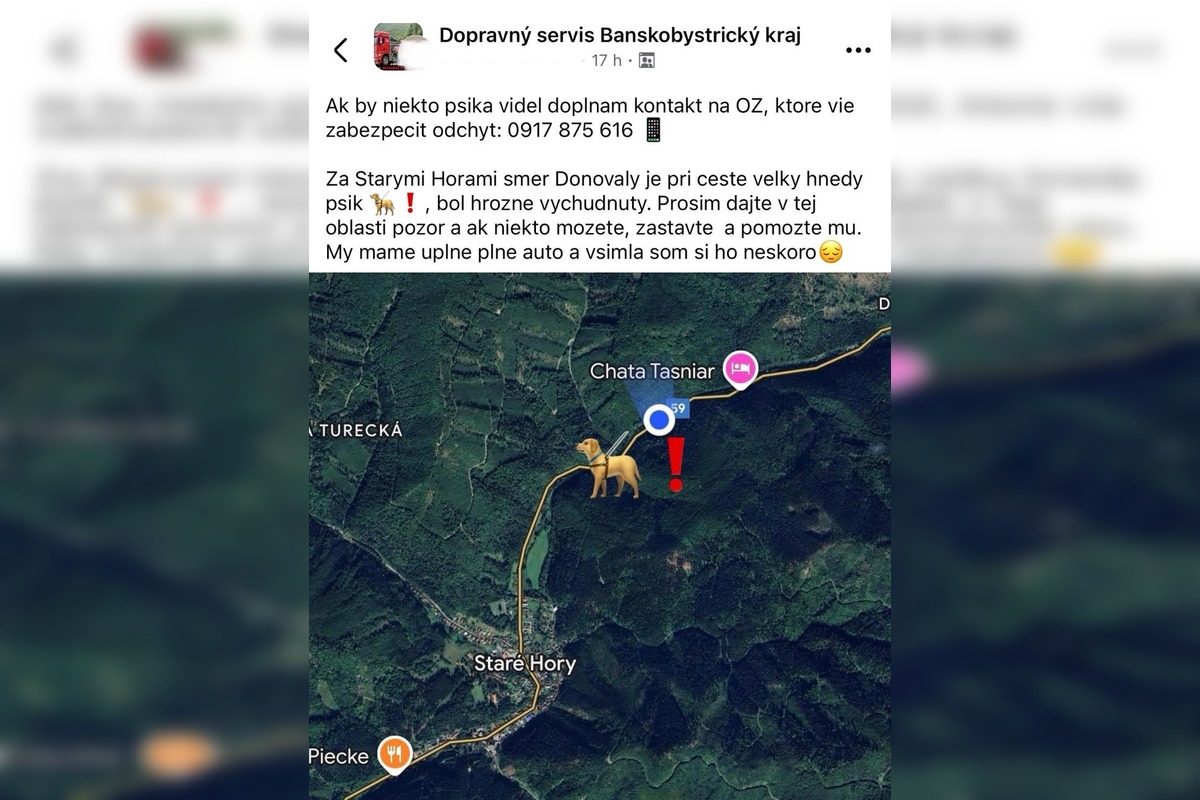 FOTO: Smutný osud svorky zo salaša, foto 1