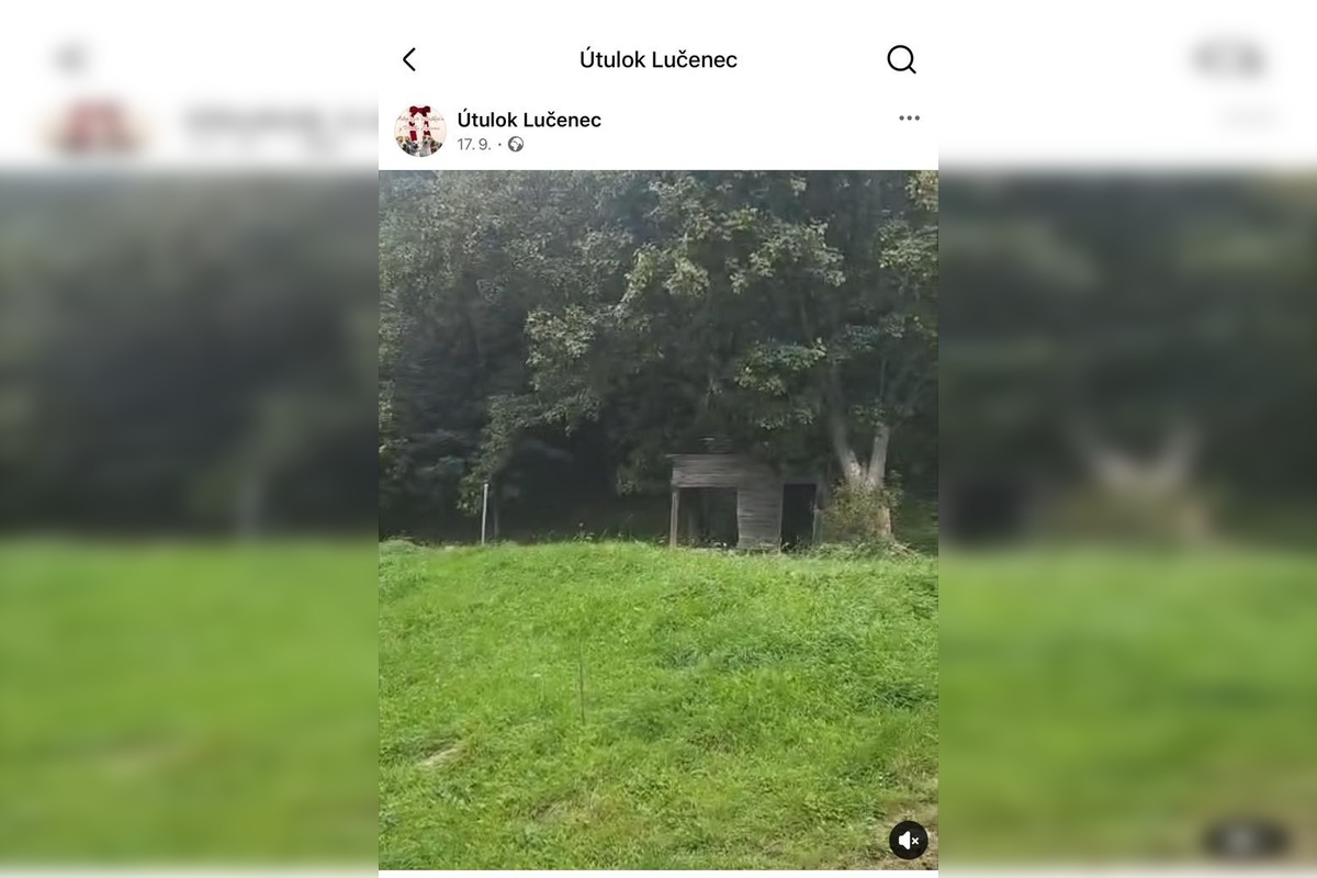 FOTO: Smutný osud svorky zo salaša, foto 5