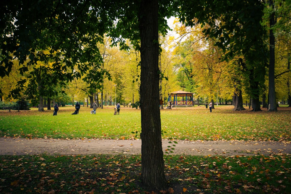 FOTO: Bystričania posielajú fotky a spomienky na Mestský park, foto 6