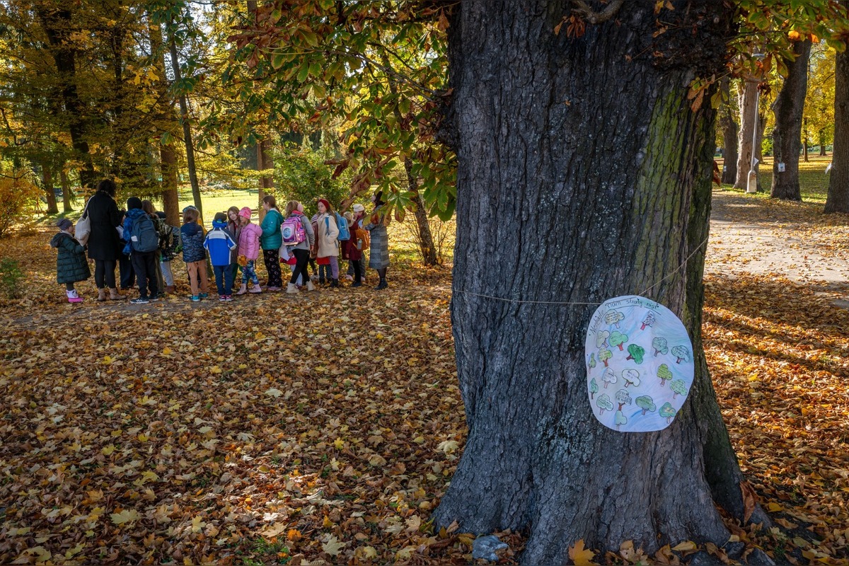 FOTO: Bystričania posielajú fotky a spomienky na Mestský park, foto 15