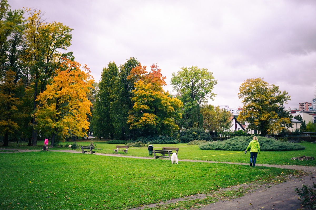 FOTO: Bystričania posielajú fotky a spomienky na Mestský park, foto 19