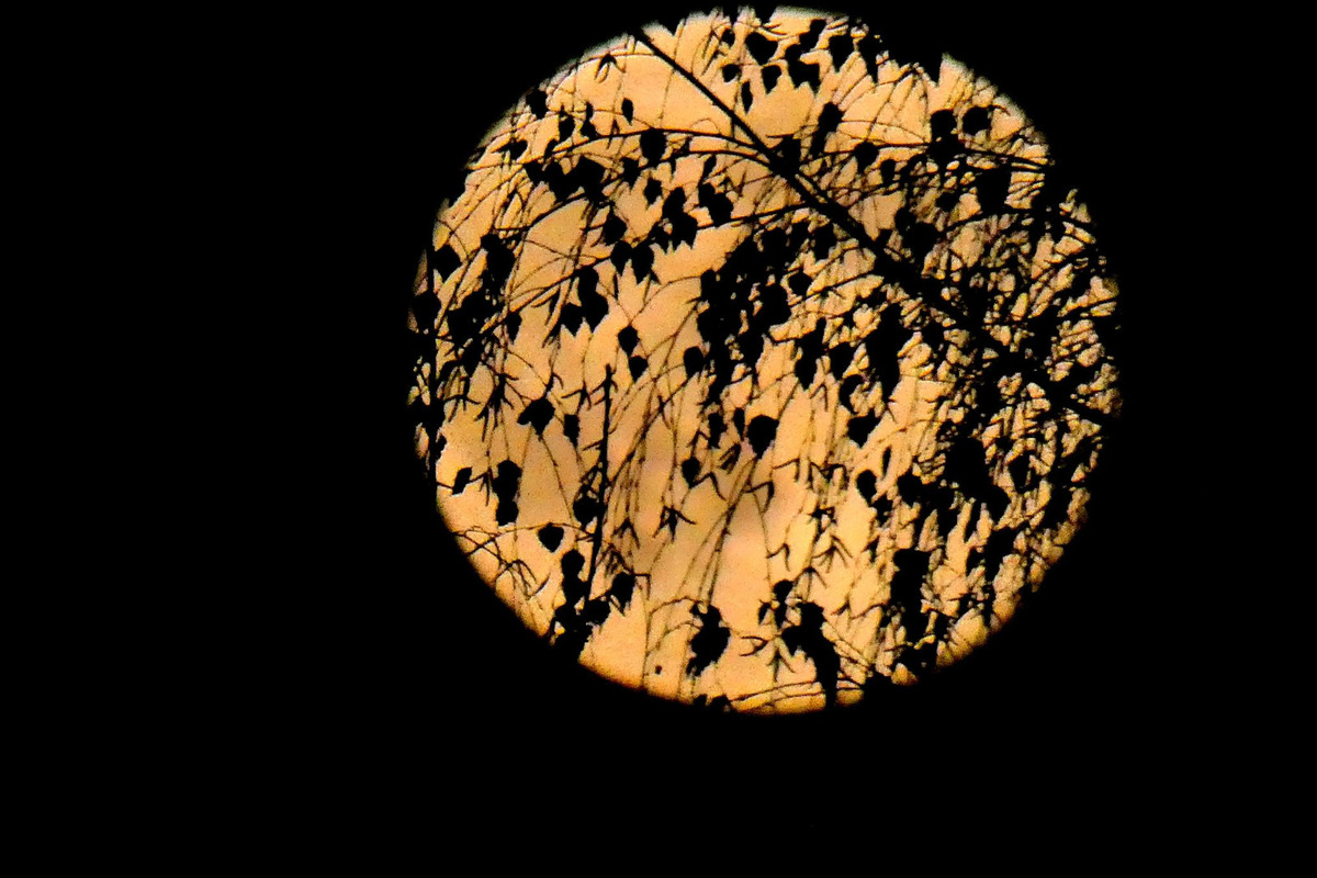 FOTO: Bystričanov uchvátil najväčší superspln roka, pozrite si krásne fotky, foto 3